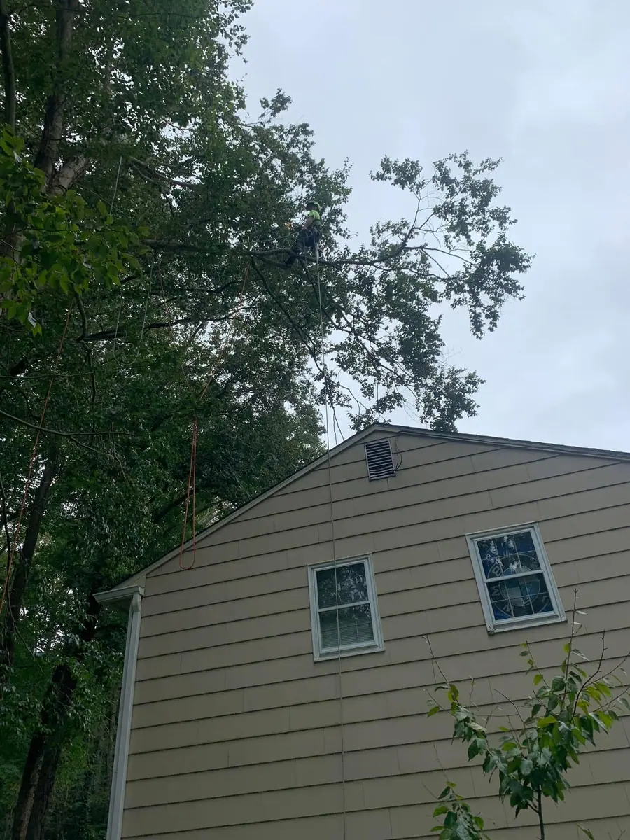 New Day Storm & emergency work