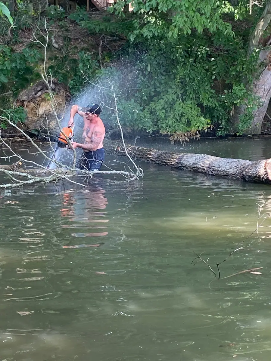 Cutting a fallen tree after a storm